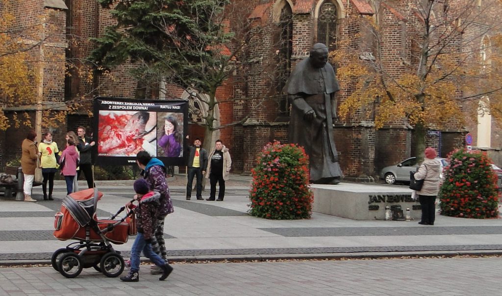 Pikieta 23-10-15 w Brzegu