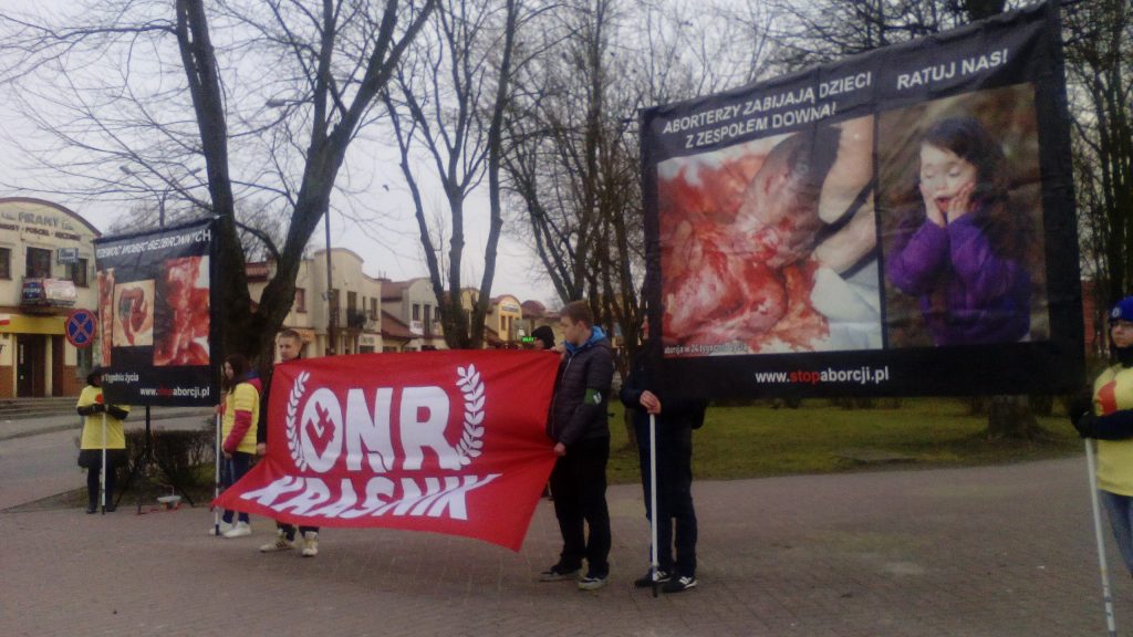 pikieta Krasnik 5.03.2016