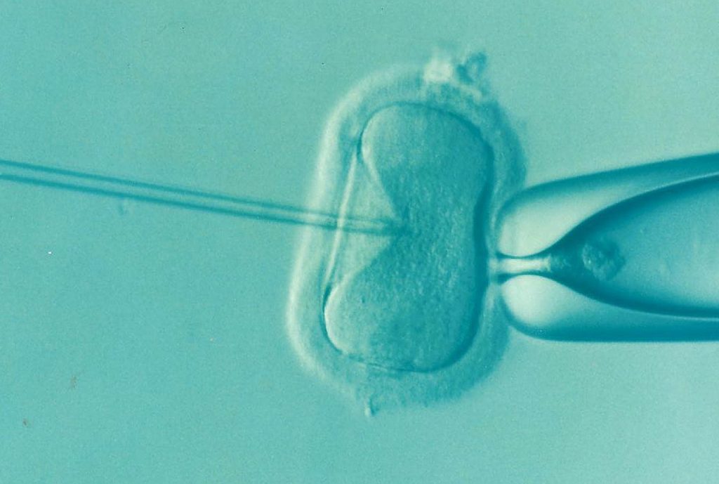 in vitro